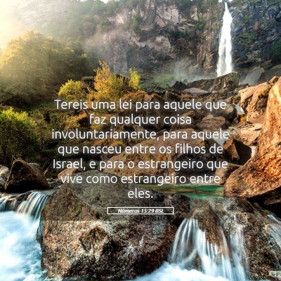 Picture 05 - Números 15:29 BSL - Tereis uma lei para aquele que faz qualquer coisa - Bible Verse Picture