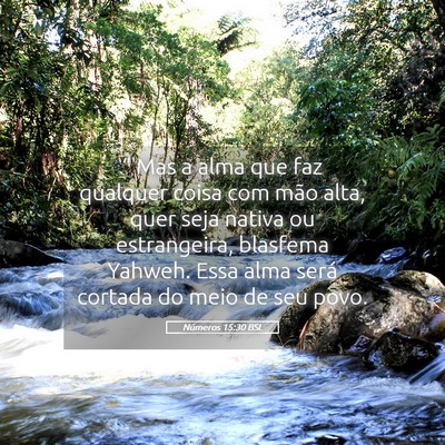 Picture 05 - Números 15:30 BSL - “'Mas a alma que faz qualquer coisa com mão - Bible Verse Picture
