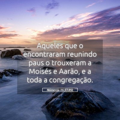 Picture 05 - Números 15:33 BSL - Aqueles que o encontraram reunindo paus o - Bible Verse Picture