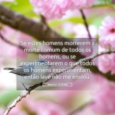 Picture 05 - Números 16:29 BSL - Se estes homens morrerem a morte comum de todos - Bible Verse Picture