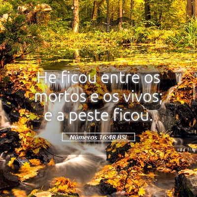 Picture 05 - Números 16:48 BSL - He ficou entre os mortos e os vivos; e a peste - Bible Verse Picture