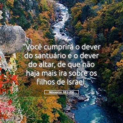 Picture 05 - Números 18:5 BSL - “Você cumprirá o dever do santuário e o - Bible Verse Picture