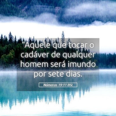 Picture 05 - Números 19:11 BSL - “Aquele que tocar o cadáver de qualquer homem - Bible Verse Picture