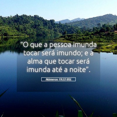 Picture 05 - Números 19:22 BSL - “O que a pessoa imunda tocar será imundo; e a - Bible Verse Picture