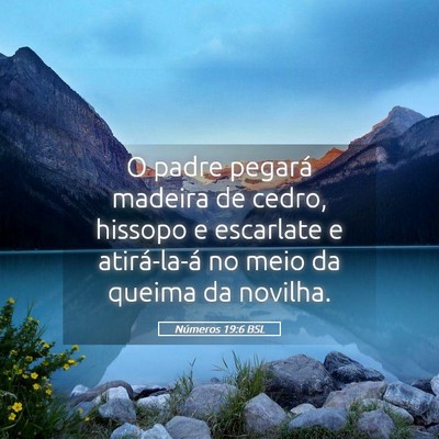 Picture 05 - Números 19:6 BSL - O padre pegará madeira de cedro, hissopo e - Bible Verse Picture