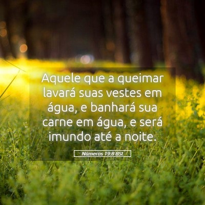 Picture 05 - Números 19:8 BSL - Aquele que a queimar lavará suas vestes em - Bible Verse Picture