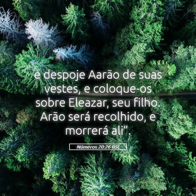 Picture 05 - Números 20:26 BSL - e despoje Aarão de suas vestes, e coloque-os - Bible Verse Picture