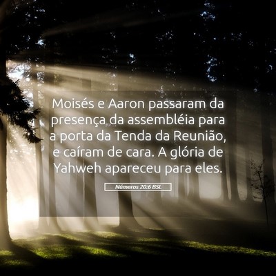 Picture 05 - Números 20:6 BSL - Moisés e Aaron passaram da presença da - Bible Verse Picture