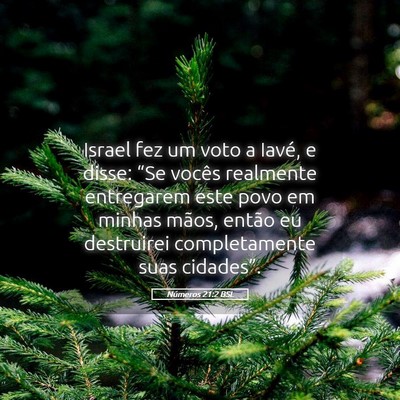 Picture 05 - Números 21:2 BSL - Israel fez um voto a Iavé, e disse: “Se vocês - Bible Verse Picture