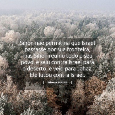 Picture 05 - Números 21:23 BSL - Sihon não permitiria que Israel passasse por sua - Bible Verse Picture