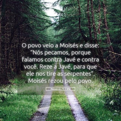 Picture 05 - Números 21:7 BSL - O povo veio a Moisés e disse: “Nós pecamos, - Bible Verse Picture