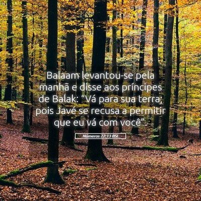 Picture 05 - Números 22:13 BSL - Balaam levantou-se pela manhã e disse aos - Bible Verse Picture