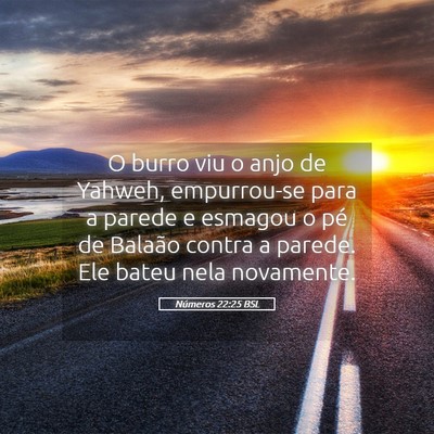 Picture 05 - Números 22:25 BSL - O burro viu o anjo de Yahweh, empurrou-se para a - Bible Verse Picture