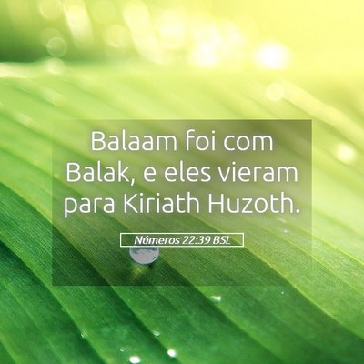 Picture 05 - Números 22:39 BSL - Balaam foi com Balak, e eles vieram para Kiriath - Bible Verse Picture