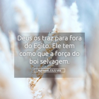 Picture 05 - Números 23:22 BSL - Deus os traz para fora do Egito. Ele tem como que - Bible Verse Picture