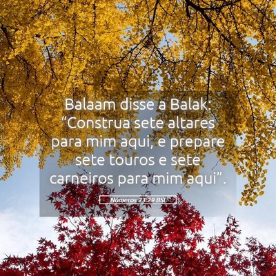 Picture 05 - Números 23:29 BSL - Balaam disse a Balak: “Construa sete altares - Bible Verse Picture