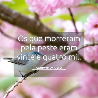 Picture 05 - Números 25:9 BSL - Os que morreram pela peste eram vinte e quatro - Bible Verse Picture