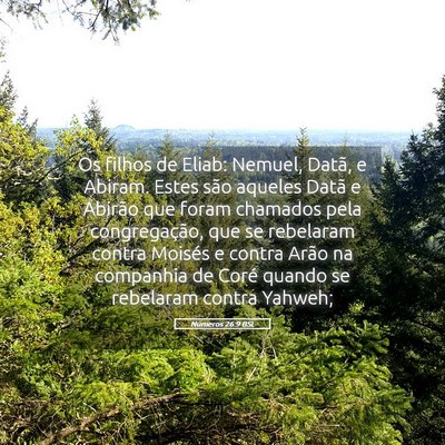 Picture 05 - Números 26:9 BSL - Os filhos de Eliab: Nemuel, Datã, e Abiram. - Bible Verse Picture