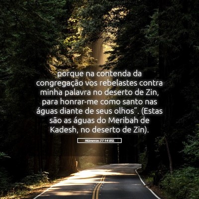 Picture 05 - Números 27:14 BSL - porque na contenda da congregação vos - Bible Verse Picture