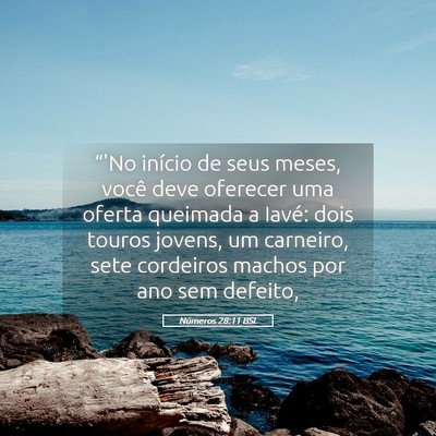 Picture 05 - Números 28:11 BSL - “'No início de seus meses, você deve oferecer - Bible Verse Picture