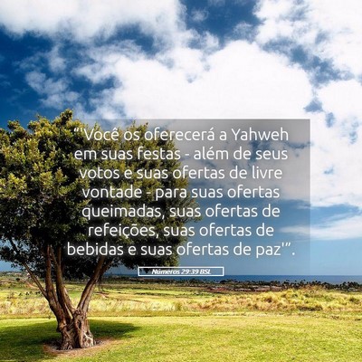 Picture 05 - Números 29:39 BSL - “'Você os oferecerá a Yahweh em suas festas - - Bible Verse Picture