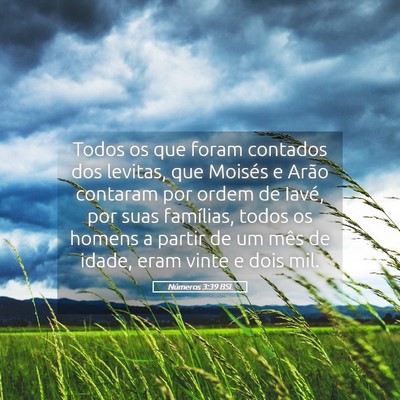 Picture 05 - Números 3:39 BSL - Todos os que foram contados dos levitas, que - Bible Verse Picture