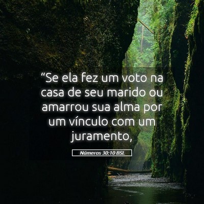 Picture 05 - Números 30:10 BSL - “Se ela fez um voto na casa de seu marido ou - Bible Verse Picture