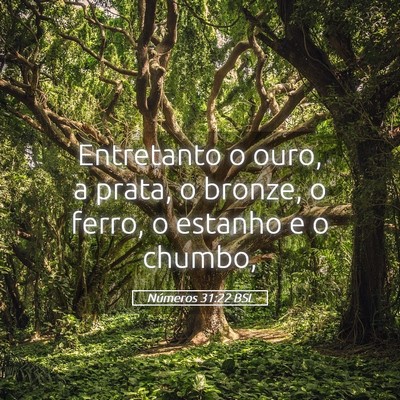 Picture 05 - Números 31:22 BSL - Entretanto o ouro, a prata, o bronze, o ferro, o - Bible Verse Picture