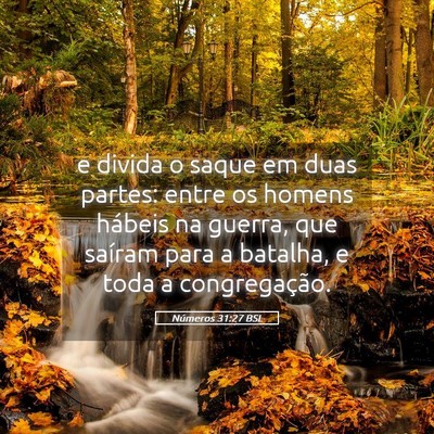 Picture 05 - Números 31:27 BSL - e divida o saque em duas partes: entre os homens - Bible Verse Picture