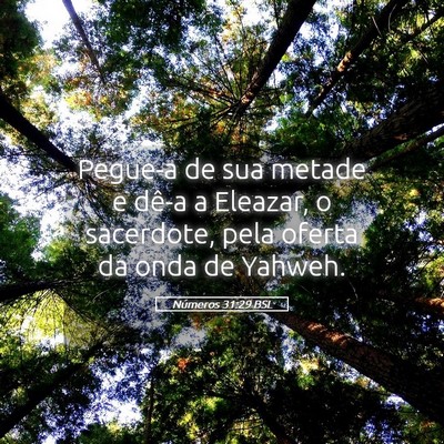 Picture 05 - Números 31:29 BSL - Pegue-a de sua metade e dê-a a Eleazar, o - Bible Verse Picture