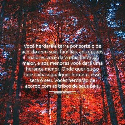 Picture 05 - Números 33:54 BSL - Você herdará a terra por sorteio de acordo com - Bible Verse Picture