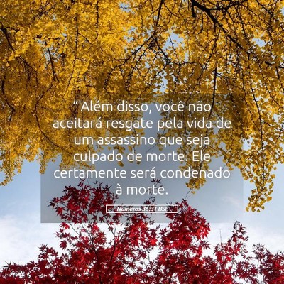 Picture 05 - Números 35:31 BSL - “'Além disso, você não aceitará resgate - Bible Verse Picture