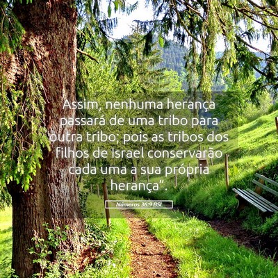 Picture 05 - Números 36:9 BSL - Assim, nenhuma herança passará de uma tribo - Bible Verse Picture