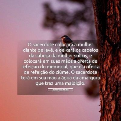 Picture 05 - Números 5:18 BSL - O sacerdote colocará a mulher diante de Iavé, e - Bible Verse Picture