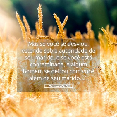 Picture 05 - Números 5:20 BSL - Mas se você se desviou, estando sob a autoridade - Bible Verse Picture