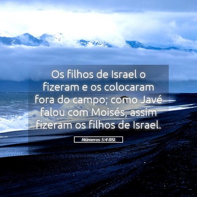 Picture 05 - Números 5:4 BSL - Os filhos de Israel o fizeram e os colocaram fora - Bible Verse Picture