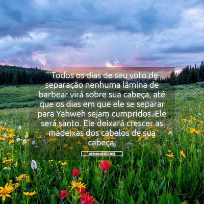 Picture 05 - Números 6:5 BSL - “'Todos os dias de seu voto de separação - Bible Verse Picture
