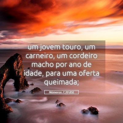 Picture 05 - Números 7:39 BSL - um jovem touro, um carneiro, um cordeiro macho - Bible Verse Picture