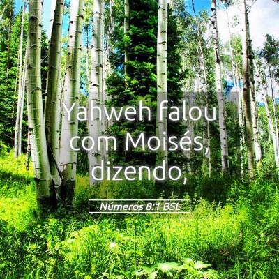 Picture 05 - Números 8:1 BSL - Yahweh falou com Moisés, - Bible Verse Picture