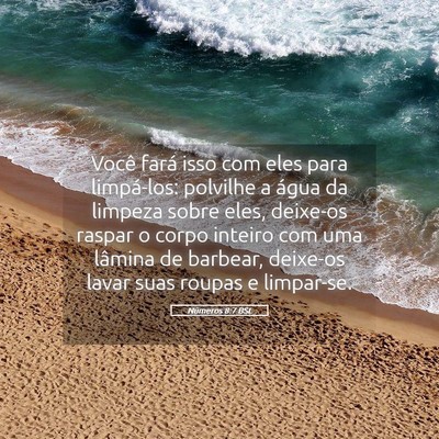 Picture 05 - Números 8:7 BSL - Você fará isso com eles para limpá-los: - Bible Verse Picture