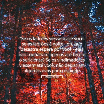 Picture 05 - Obadias 1:5 BSL - “Se os ladrões viessem até você, se os - Bible Verse Picture