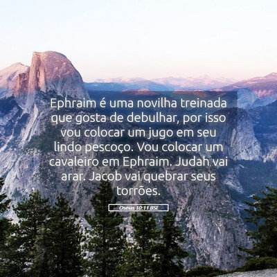 Picture 05 - Oséias 10:11 BSL - Ephraim é uma novilha treinada que gosta de - Bible Verse Picture