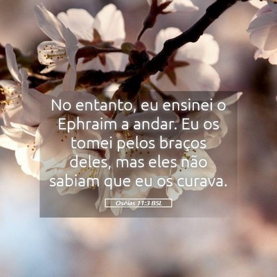 Picture 05 - Oséias 11:3 BSL - No entanto, eu ensinei o Ephraim a andar. Eu os - Bible Verse Picture