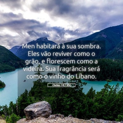 Picture 05 - Oséias 14:7 BSL - Men habitará à sua sombra. Eles vão reviver - Bible Verse Picture
