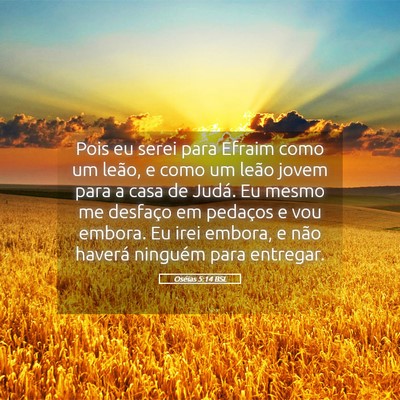 Picture 05 - Oséias 5:14 BSL - Pois eu serei para Efraim como um leão, e como - Bible Verse Picture