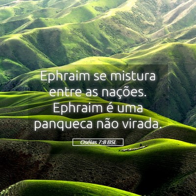 Picture 05 - Oséias 7:8 BSL - Ephraim se mistura entre as nações. Ephraim é - Bible Verse Picture