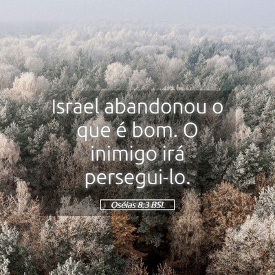 Picture 05 - Oséias 8:3 BSL - Israel abandonou o que é bom. O inimigo irá - Bible Verse Picture