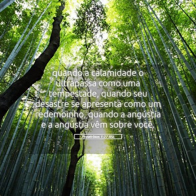 Picture 05 - Provérbios 1:27 BSL - quando a calamidade o ultrapassa como uma - Bible Verse Picture