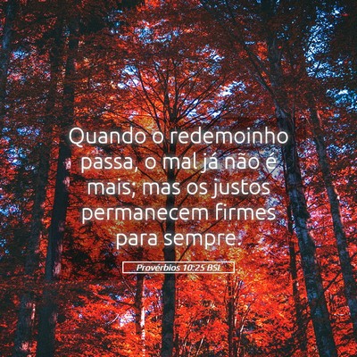 Picture 05 - Provérbios 10:25 BSL - Quando o redemoinho passa, o mal já não é - Bible Verse Picture