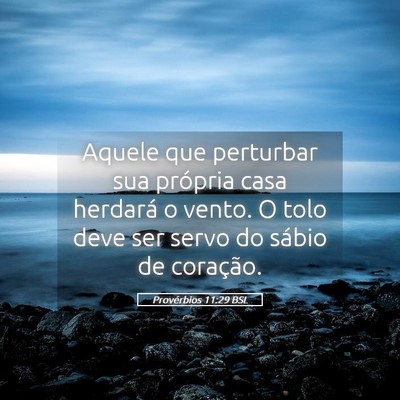 Picture 05 - Provérbios 11:29 BSL - Aquele que perturbar sua própria casa herdará o - Bible Verse Picture